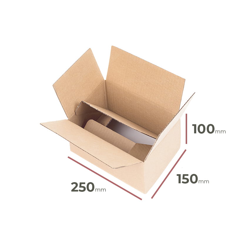 Automatyczny karton 250x150x100 - 10 szt.