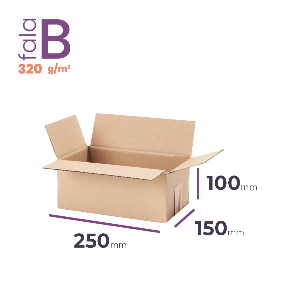 Karton 250x150x100 wym. zewn. B/320 - 20 szt.